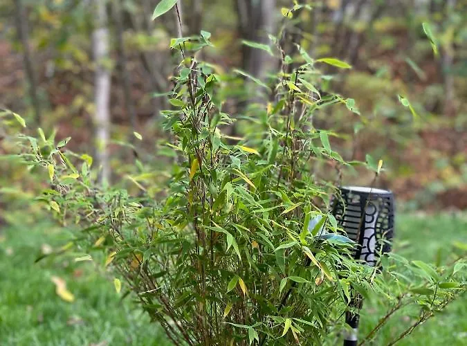 Zur Wupper * Wipperfürth